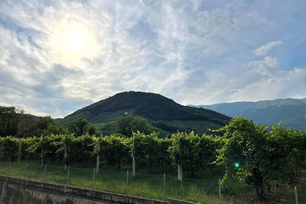 Casa Di Caio Tra Le Colline Del Prosecco Apartment Farra di Soligo Italy